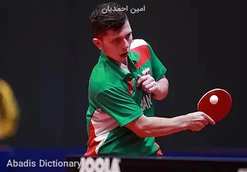 امین احمدیان